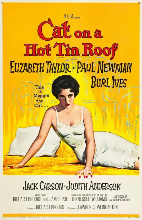 Cat on a Hot Tin Roof